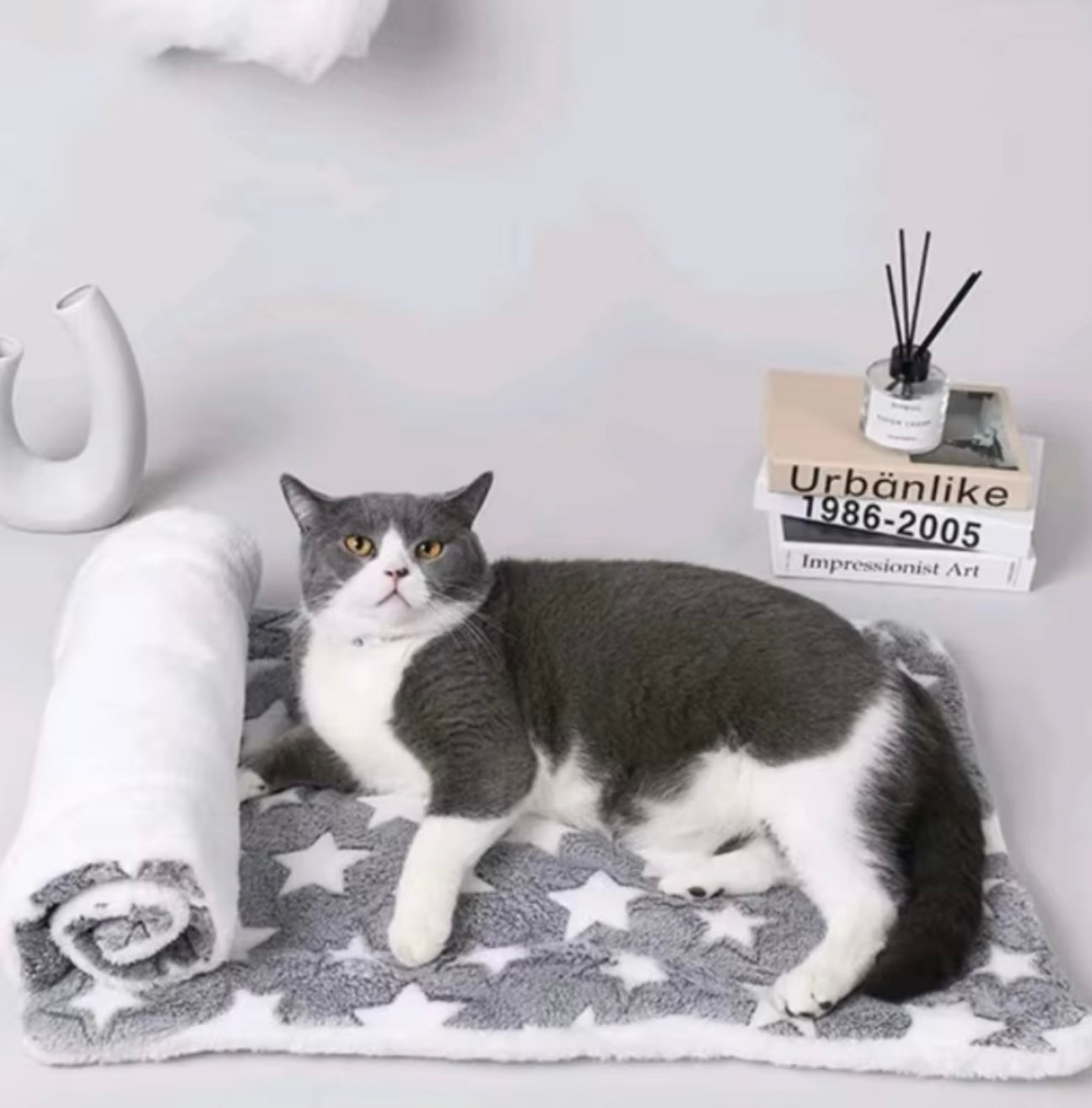 Soft Fleece Pet Blanket – Washable Warm Dog & Cat Mat
