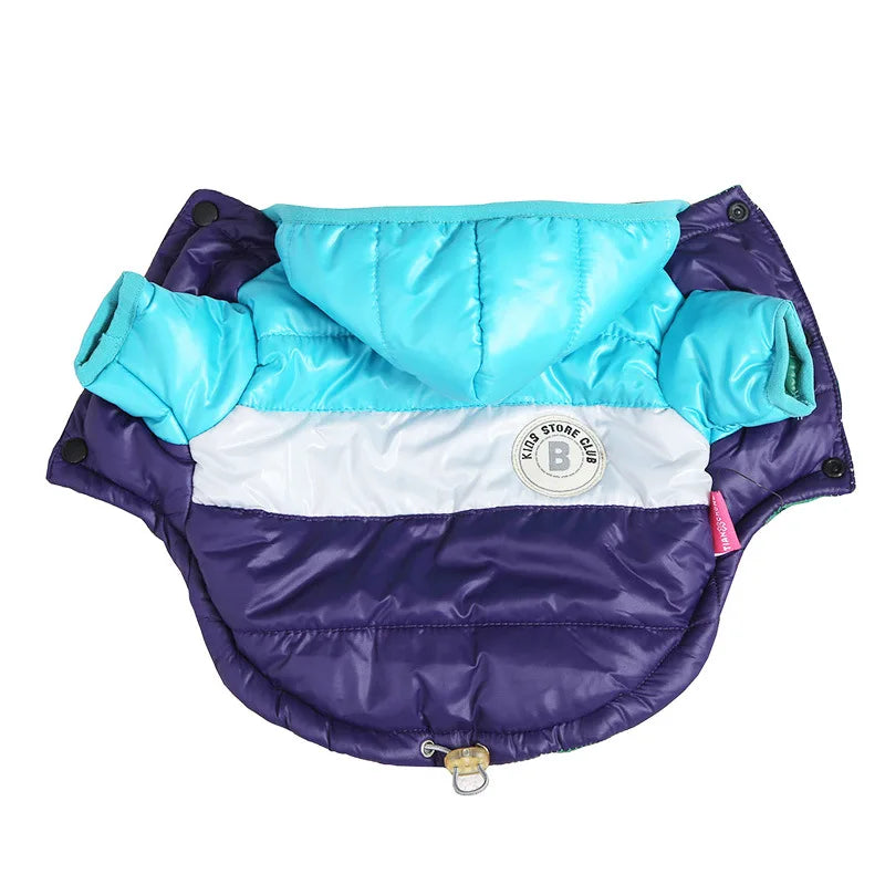 Waterproof Winter Dog Jacket – Warm Coat for Small Dogs