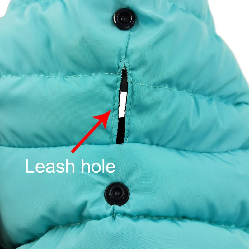 Waterproof Winter Dog Jacket – Warm Coat for Small Dogs