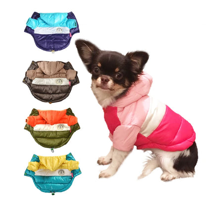 Waterproof Winter Dog Jacket – Warm Coat for Small Dogs