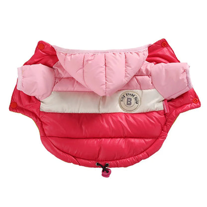 Waterproof Winter Dog Jacket – Warm Coat for Small Dogs